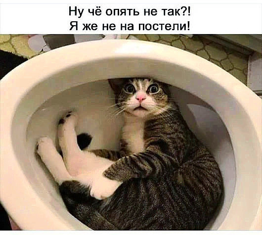 ПУПСИК  з